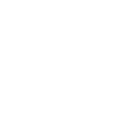 vysionary